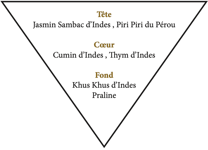 triangle a l'envers contenant la fragrance du parfum